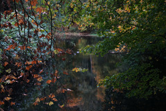 （外代二线）（1）欧洲秋日