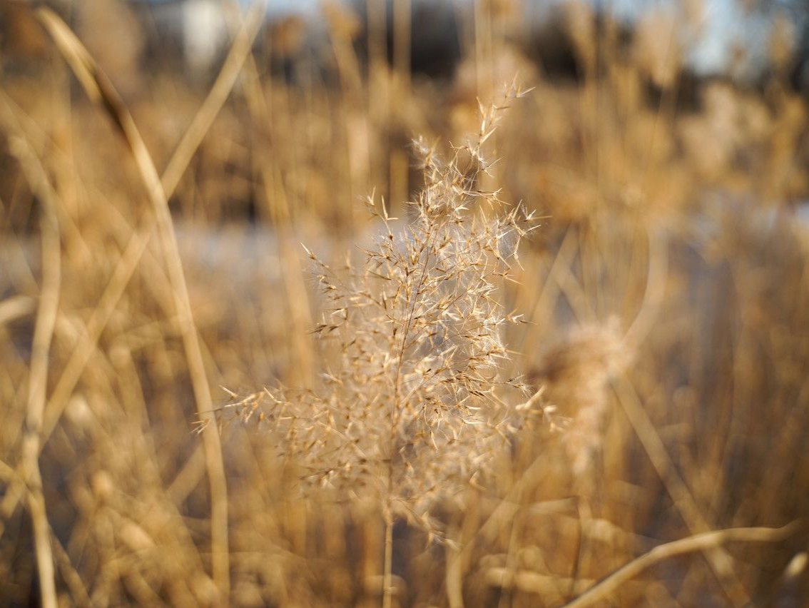 专家科普｜深圳立冬没有雪，养生仪式感不能少！