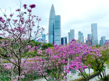 我的读书月情缘 | 人文天地·南海潮