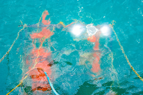 让海洋观测迈向“连续感知” 深圳先进院多项海洋科技成果亮相大鹏湾