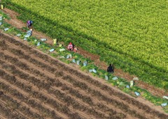 秋日“丰”景好（13）#