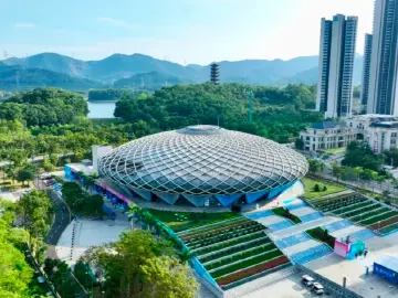 开赛!深圳坪山“燃”起来啦!