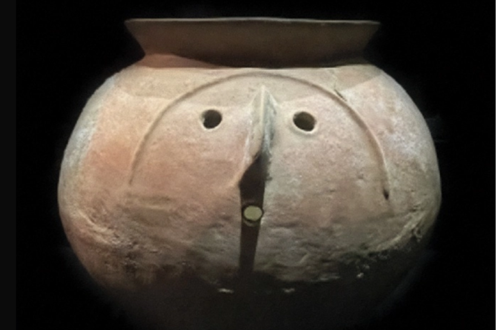 海上世界文化艺术中心年度大展“奇趣博物号” 即将启航！ 