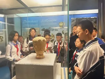 课堂搬入博物馆！龙高民治校区这场跨越时空的对话藏着深圳的文脉密码