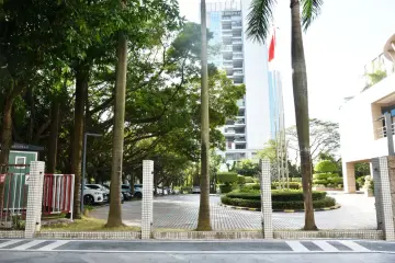 读特快评｜机关大院“拆墙”，要的就是“无围而治”的敞亮