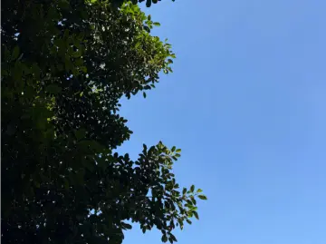 温度记 | 你“燥”吗？新台风+冷空气接连“发力”，深圳最低气温将跌到……