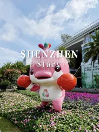 全红婵：有梦想就去追吧，不怕失败