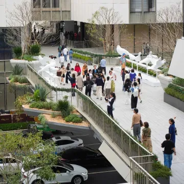 “空中魔法走廊”火了！就在深圳这个地方