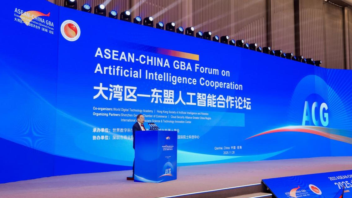 多元共议,2025大湾区—东盟经济合作(前海)论坛探讨区域合作新动能