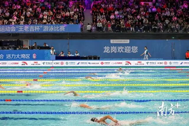 11月12日晚，十五运会游泳项目进入第三个比赛日，观众观看女子自由泳比赛。郑新洽 摄