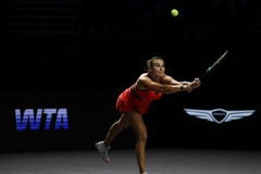 （体育）（7）网球——WTA年终总决赛：萨巴伦卡晋级决赛