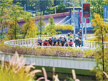 十五运会热力“燃”动鹏城