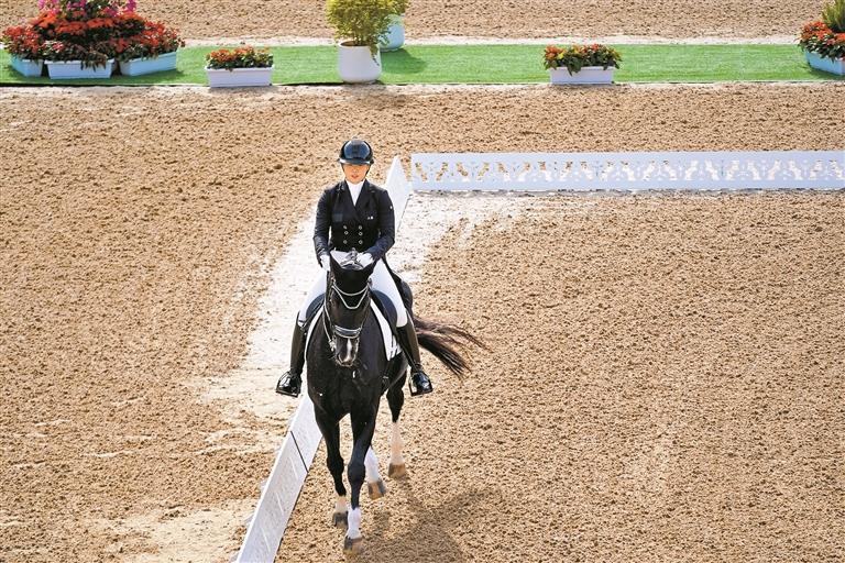 十五运会马术比赛在光明开赛  上海队获盛装舞步团体赛冠军