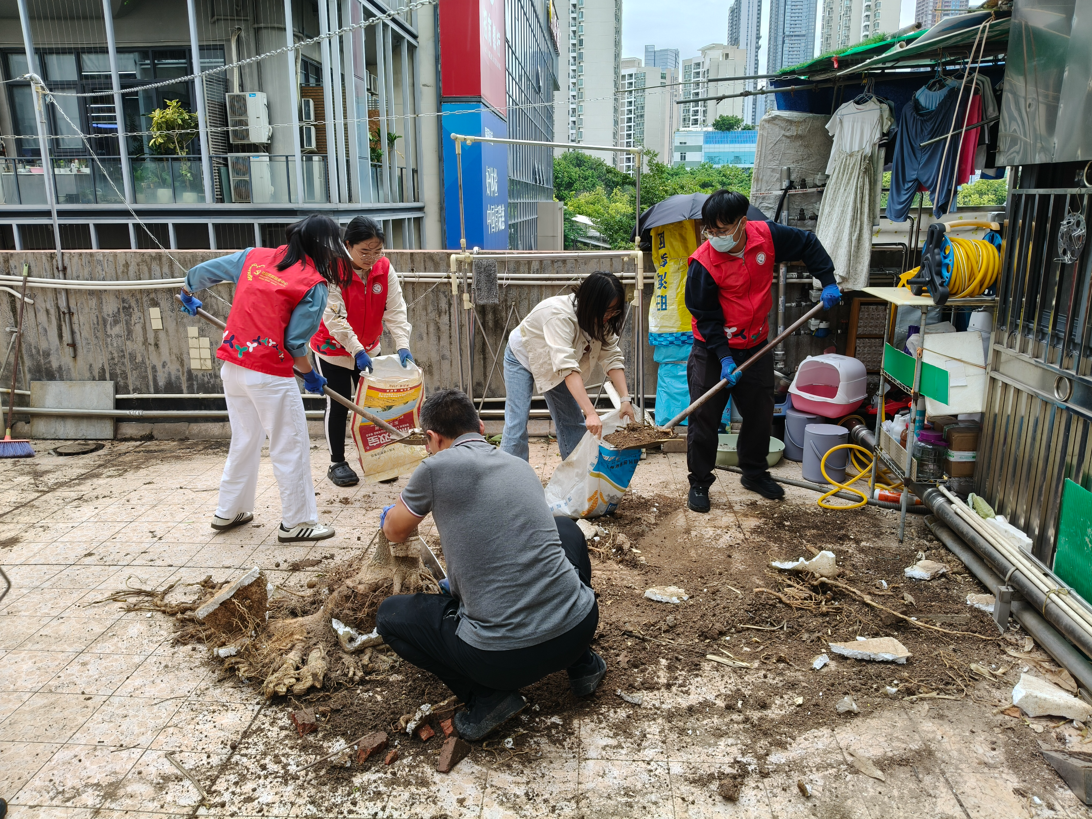 老旧小区实现“逆龄生长”！福田区福保街道将治理难题变幸福亮点