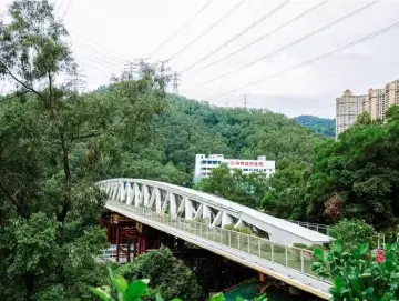 “为小动物开道！” 央视关注深圳山海连城鲲鹏径两座生态廊桥→