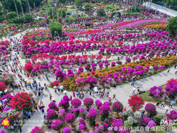 温度记|周末多云到晴,适宜出游!下周强冷空气来深,大风+降雨,最低13℃!