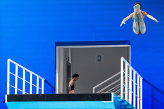 全运会丨跳水——女子10米跳台半决赛赛况（3）