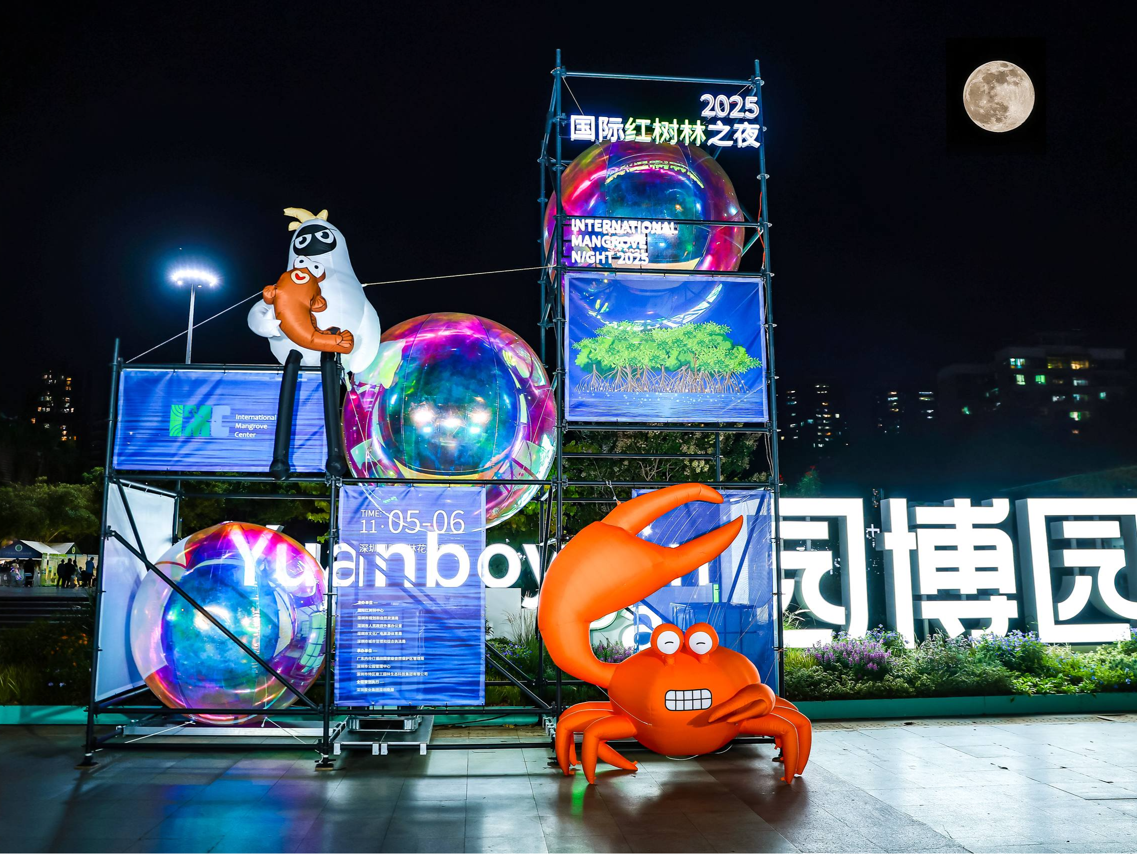 “2025国际红树林之夜”献礼IMC揭牌一周年