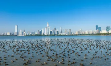第三家生态环境部重点实验室落户深圳,打造滨海城市环境演化研究高地