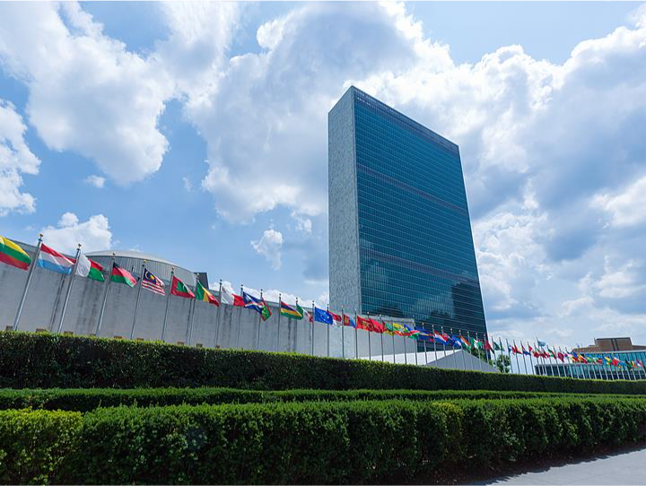 程序正式启动，联合国秘书长是怎么选出来的？