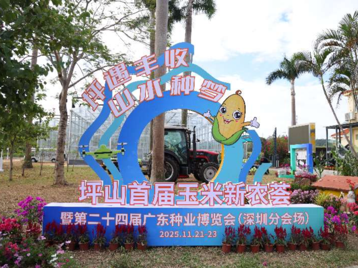 科技赋能都市农业，坪山首届“玉米新农荟”启动