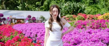 走!今天出发莲花山!拍“爆”20万㎡花海