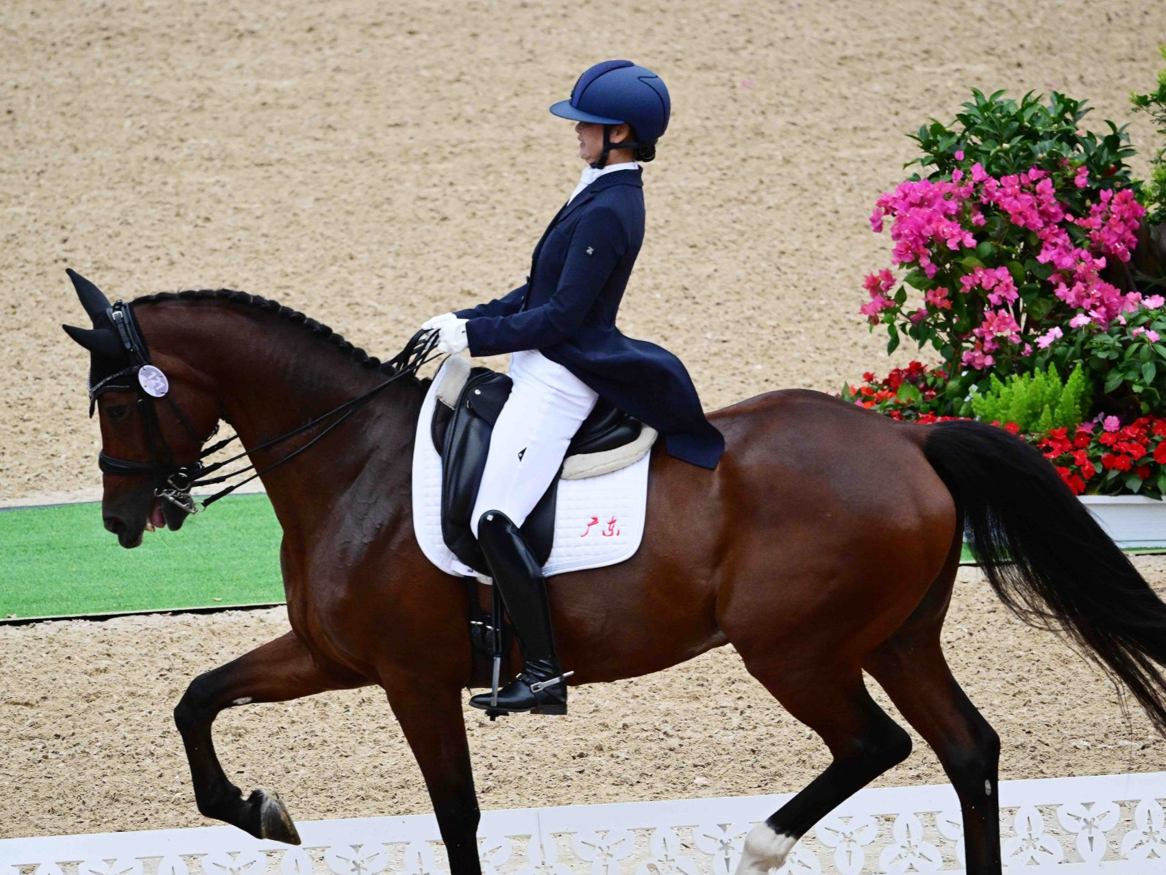 全运会马术盛装舞步个人赛预赛在深圳光明国际马术中心举行