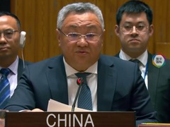 傅聪：中方不得不投下弃权票