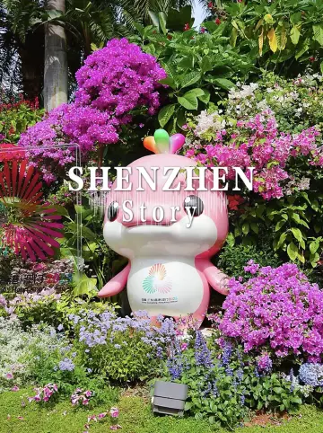 樊振东：我在任何时候都不会轻言放弃