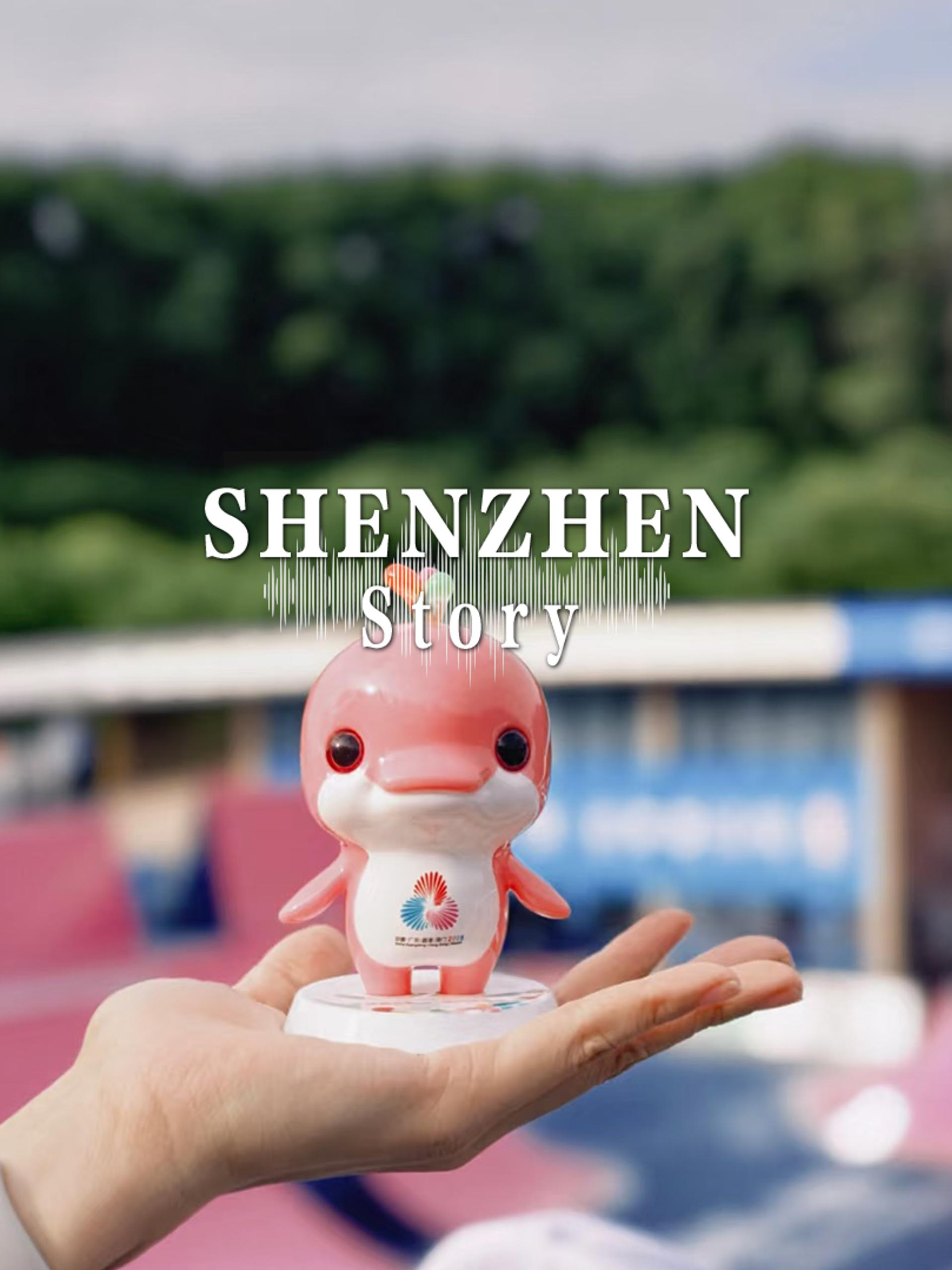 潘展乐:专注自己，脚踏实地走好每一步