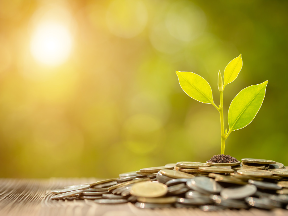 113个项目纳入国家（深圳）气候投融资最新项目库   