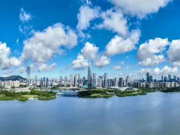 以风清气正的政治生态引领形成良好发展环境 加强党的领导推进全面从严治党