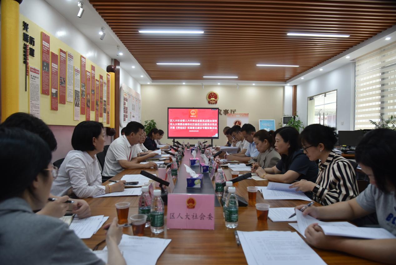 龙田街道南布人大代表社区联络站书写“百千万工程”履职答卷