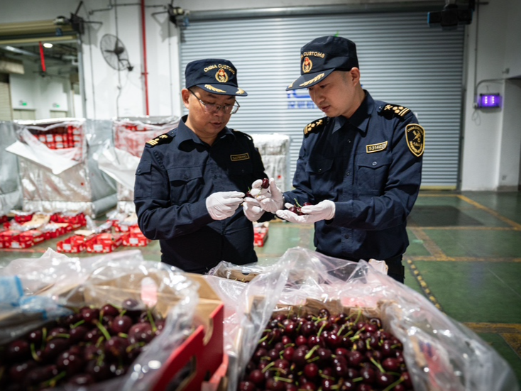 智利车厘子“甜蜜”抵深