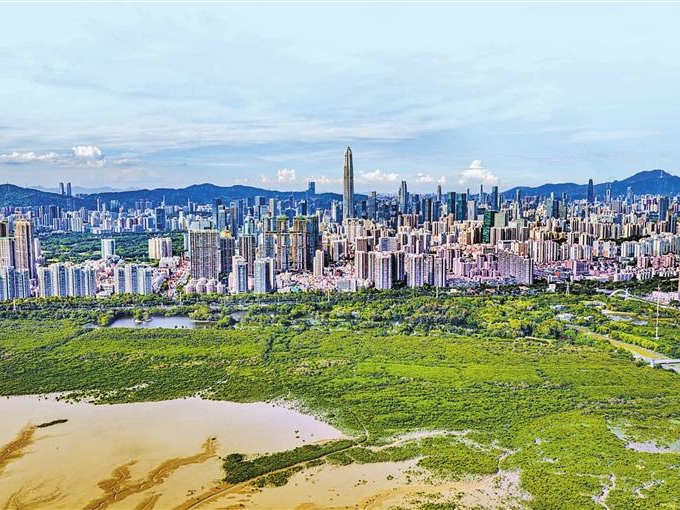 国际红树林之夜今日启幕