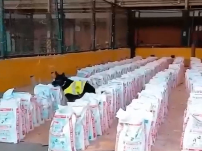 价值超3亿美元！哥伦比亚查获近十年最大宗毒品案