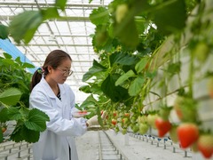 “十五五”新蓝图·新机遇丨强基础补短板　农业加快迈向现代化大产业