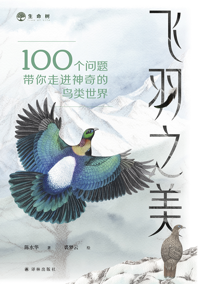 深港书评｜以中国视角重构鸟类科普新生态，《飞羽之美》新书面市