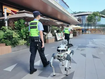 十五运热评|深圳现实版“钢铁护卫队”