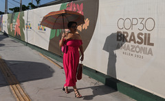 巴西雨林城市贝伦迎接COP30（4）