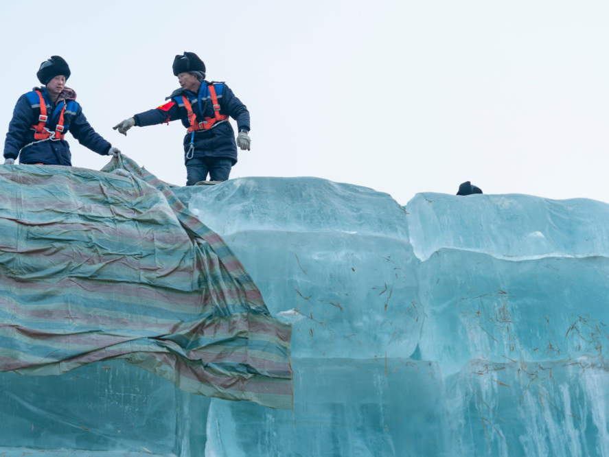 存冰启用！哈尔滨冰雪大世界冰建建设25日开工