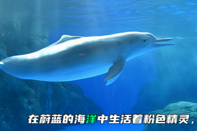 告别创作焦虑，万兴喵影助力灵感轻松落地