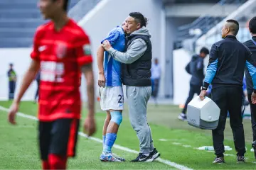 转正!陈涛正式出任深圳新鹏城主教练