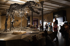 柏林：博物馆里的科学“校园”（1）