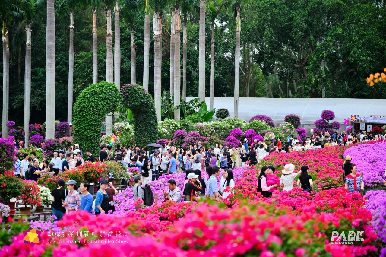 保障赏花盛会,莲花山公园增设高标准移动公厕服务