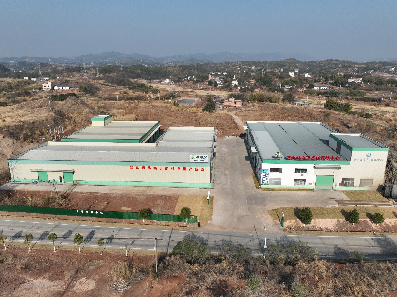 红棉杯风采丨龙岗城投：发挥优势创新模式 助力乡村全面振兴