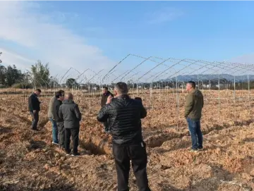 盐田区对口帮扶助力河源双江镇擦亮“万绿果乡”金字招牌