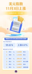 （图表）美元指数11月3日上涨