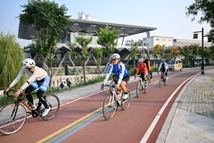 河北沧州：大运河堤顶路铺就美好生活新图景（2）