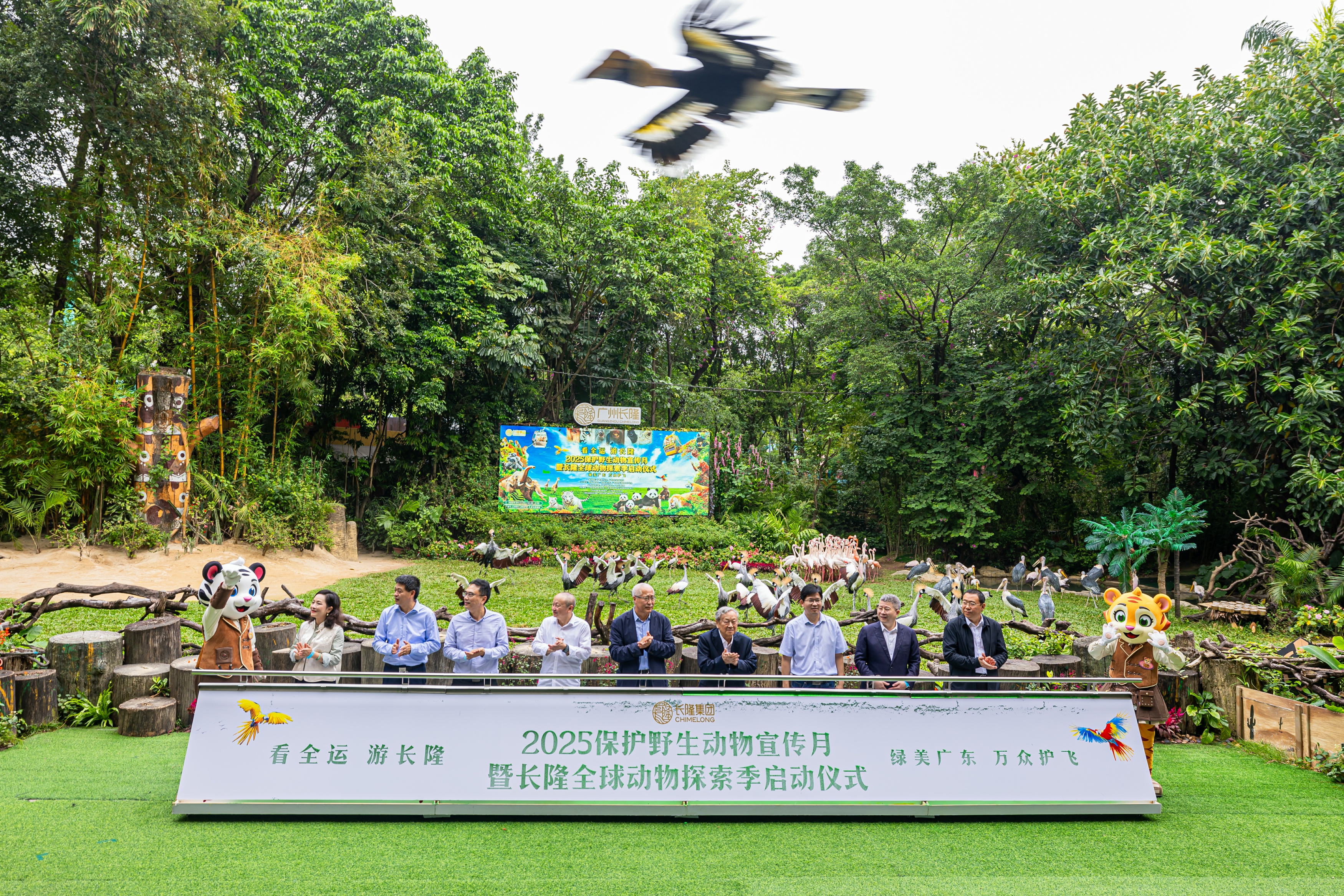开启全球动物保护新篇章，2025“保护野生动物宣传月”活动在长隆启动